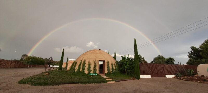 Guided Tour at BiBo Park: Ibiza's Biotech Botanical Garden - FAQ