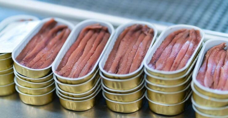 Guided Tour at the Anchovy Factory in Santoña - Booking Details