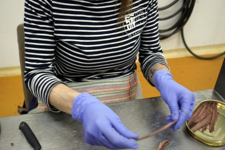 Guided Tour at the Anchovy Factory in Santoña - Experience Highlights