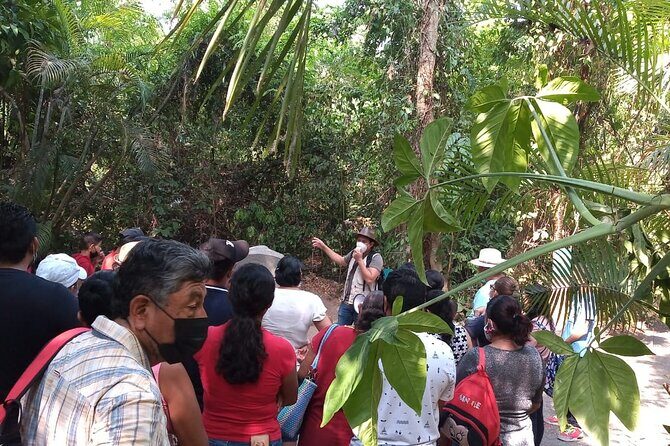 Guided Tour by the Olmec Stone Men - The Itinerary in Detail: What to Expect