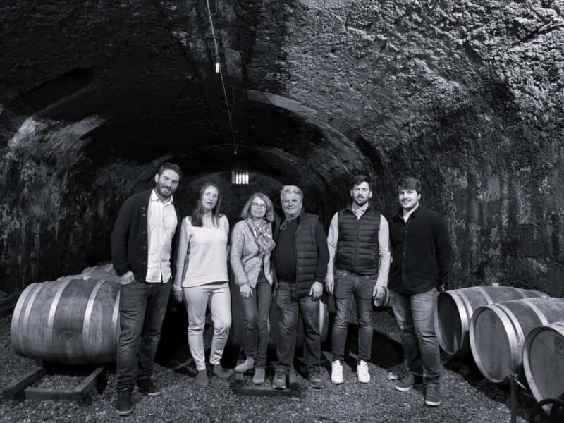 Guided tour from vine to glass - A Closer Look at the Guided Tour from Vine to Glass in the South of France