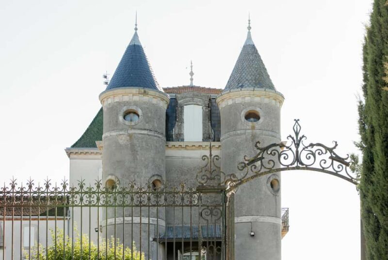 Guided tour from vine to glass - Value and Practical Considerations