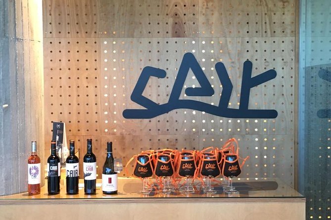 Guided Tour Glass in Hand With Wine Tasting Directly From the Barrel - What to Expect