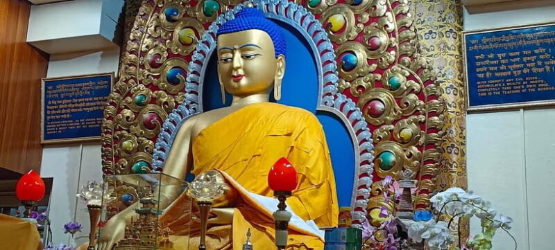 Guided Tour: Himachal Heritage - Art, Tea, Pottery & Culture - Soubha Singh Art Gallery: A Cultural Treasure