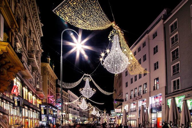 Guided Tour in a MUSEUM (Tickets Incl.) Vienna in CHRISTMAS - Overview and Inclusions