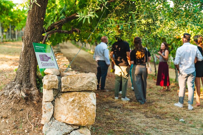 Guided Tour in a Venetian Villa With Wine Tasting in Valpolicella - Wine Tasting Experience