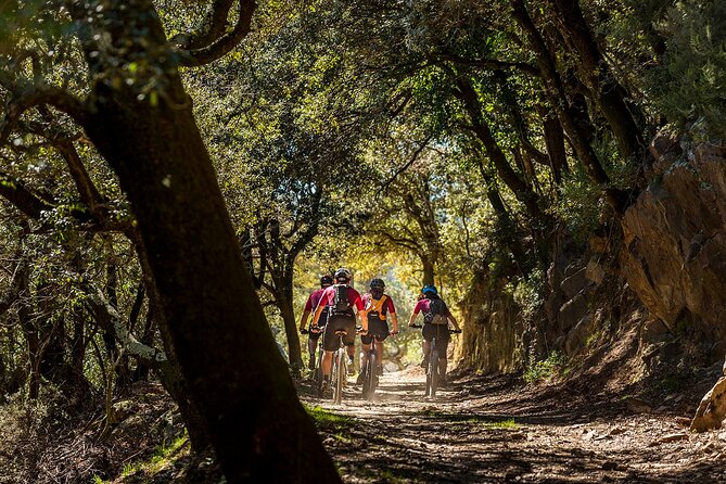 Guided Tour in E-mountainbike in Empordà - Good To Know