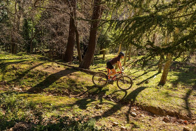 Guided Tour in E-mountainbike in Empordà - Participant Limit and Requirements
