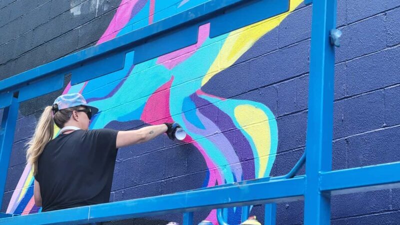 Guided tour in French of Brooklyn Bushwick and Williamsburg - A Deep Dive into the Tour Experience