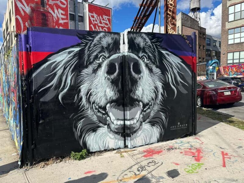 Guided tour in French of Brooklyn Bushwick and Williamsburg - Final Thoughts: Is It Worth It?