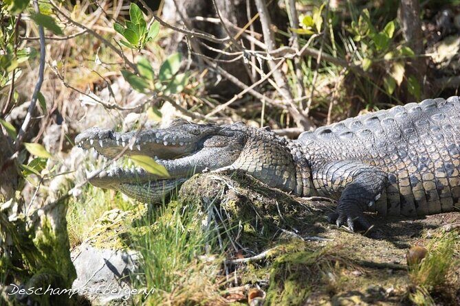 Guided Tour in Sian Ka'an Flora and Fauna Reserve - What Makes This Tour Stand Out?
