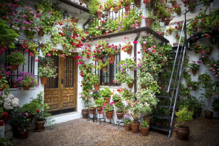 Guided Tour in Spanish to the Courtyards of Córdoba - Activity Details