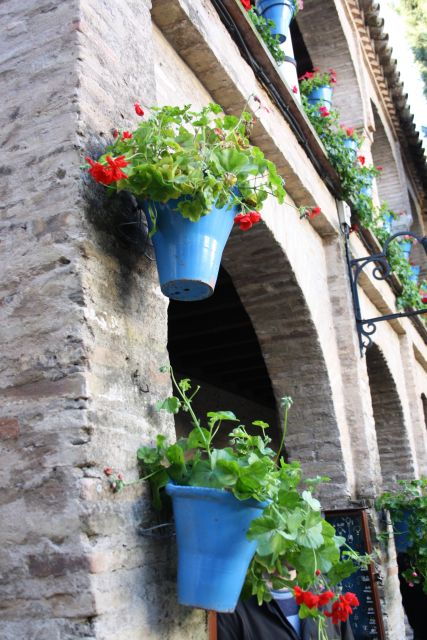 Guided Tour in Spanish to the Courtyards of Córdoba - Experience Highlights