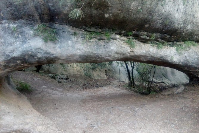 Guided Tour in the Enchanted City - Directions