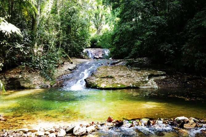 Guided Tour in Tijuca Forest With Transfer - Inclusions Provided