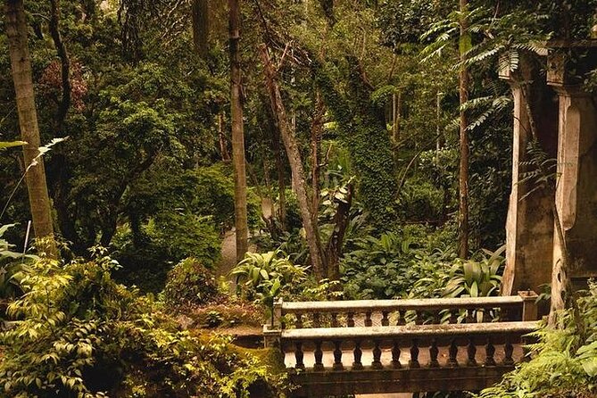 Guided Tour in Tijuca Forest With Transfer - Logistics and Meeting Point