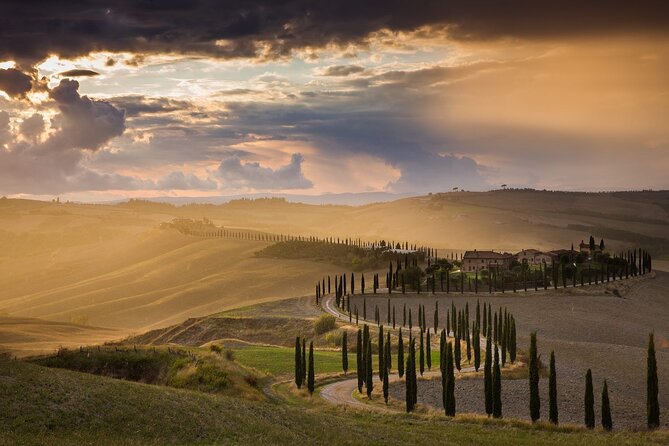 Guided Tour in Wonderful Tuscany - Tour Highlights