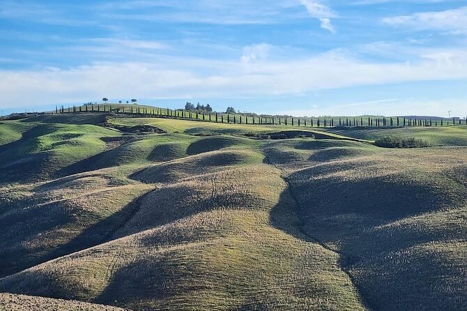 Guided Tour in Wonderful Tuscany - Scenic Vineyard Visit