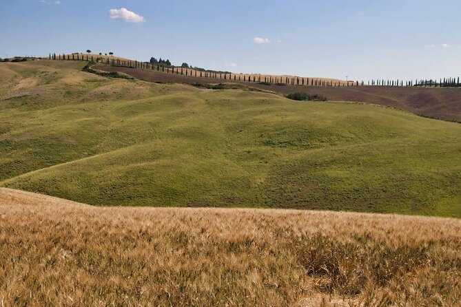 Guided Tour in Wonderful Tuscany - Art and Culture Immersion