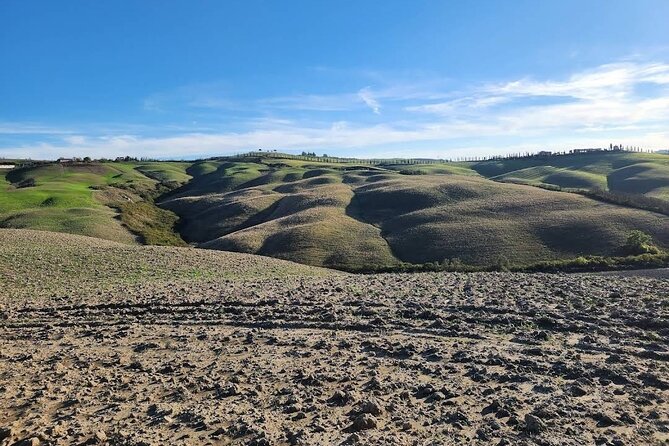 Guided Tour in Wonderful Tuscany - Tour The Sum Up