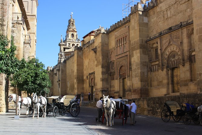 Guided Tour Jewish Quarter and Mosque-Cathedral of Córdoba With Tickets - Traveler Photos and Reviews