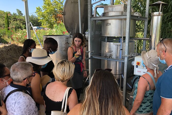 Guided Tour Lavender Fields & Distillery Between Nîmes & Arles - Authenticity and Trust