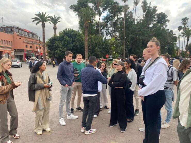 Guided Tour, Majorelle Garden YSL Monument Market & Transfer - Tour Highlights