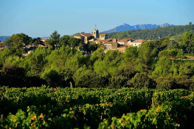 Guided Tour of a Vineyard in Vacquières With Wine Tasting - Meeting and Pickup