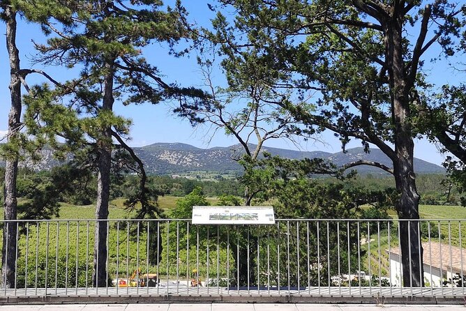 Guided Tour of a Vineyard in Vacquières With Wine Tasting - Note