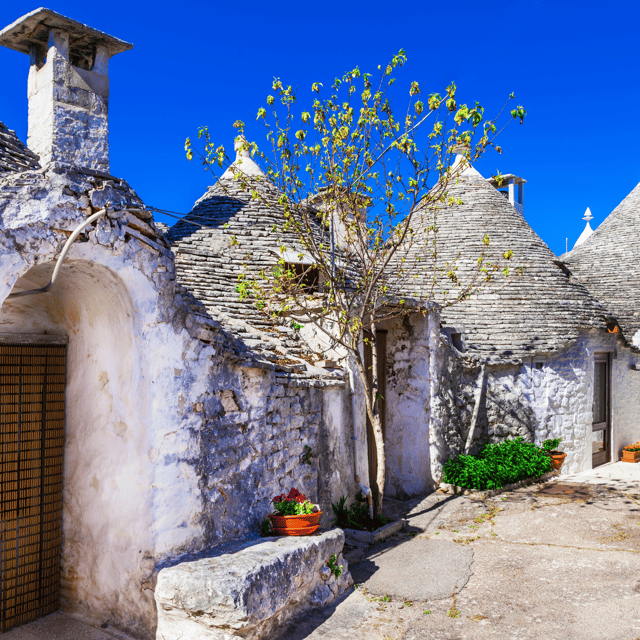 Guided Tour of Alberobello Trulli with Transfer included - Final Thoughts: Is This Tour Right for You?