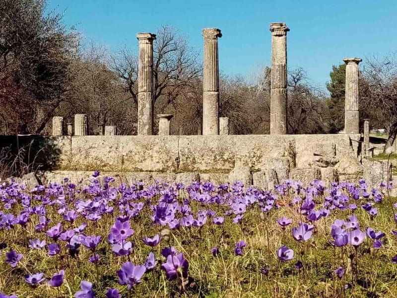 Guided tour of ancient Olympia by an Italian-born guide-archaeologist - A Deep Dive into the Tour Experience: What You Can Expect