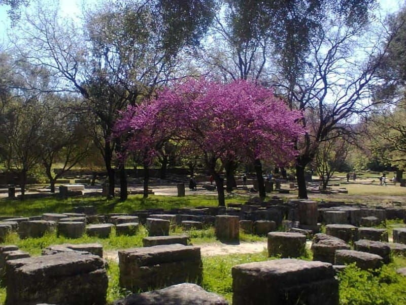 Guided tour of ancient Olympia by an Italian-born guide-archaeologist - The Sum Up: Is It Worth It?
