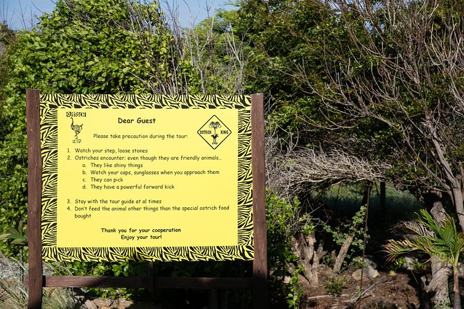Guided Tour of Aruba Ostrich Farm With Lunch  - Oranjestad - Cancellation Policy Details