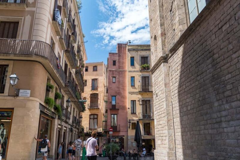 Guided tour of Barcelona in French (Old Town & Instagram spots) - Good To Know