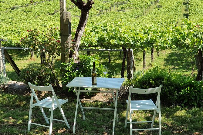 Guided Tour of Bodegas Granbazán - Contact and Pricing Information