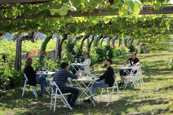 Guided Tour of Bodegas Granbazán - Important Terms and Conditions