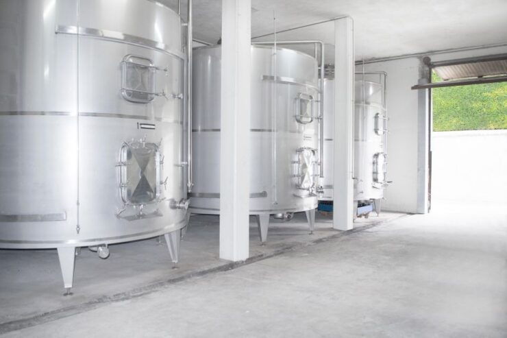 Guided Tour of Bodegas J.F. Iradier, Rioja Alavesa - Activity Details