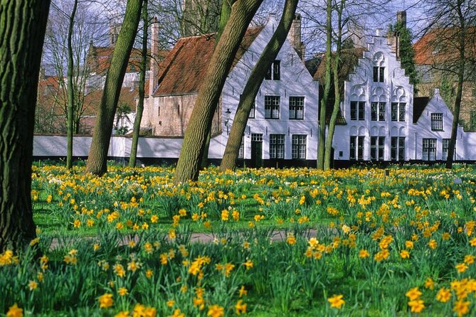 Guided Tour of Bruges - Tour Highlights and Information