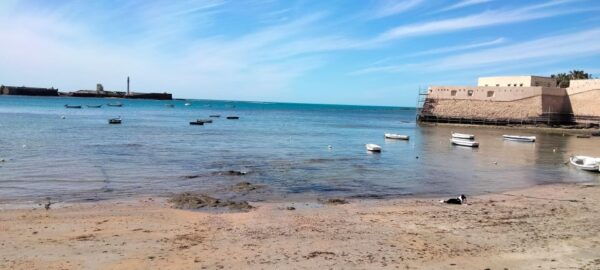 Guided Tour of Cádiz: Stories From the Hand of a Local Guide - Booking Information