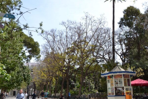 Guided Tour of Cádiz: Stories From the Hand of a Local Guide - Important Notes