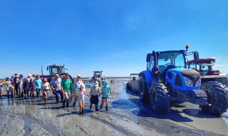Guided tour of Cancale's oyster beds - Guided tour of Cancales oyster beds