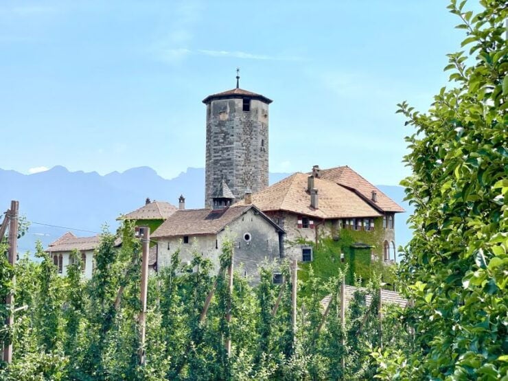 Guided Tour of Castel Valer Private Mansion - Booking Information and Pricing