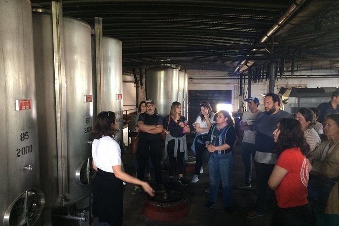 Guided Tour of Castillo Viejo Winery and Lunch - Winery Location