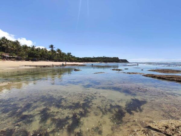 Guided Tour of Espelho Beach - Porto Seguro - Tour Guide and Safety