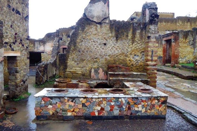 Guided Tour of Herculaneum With an Archaeologist - Accessibility and Operator Information