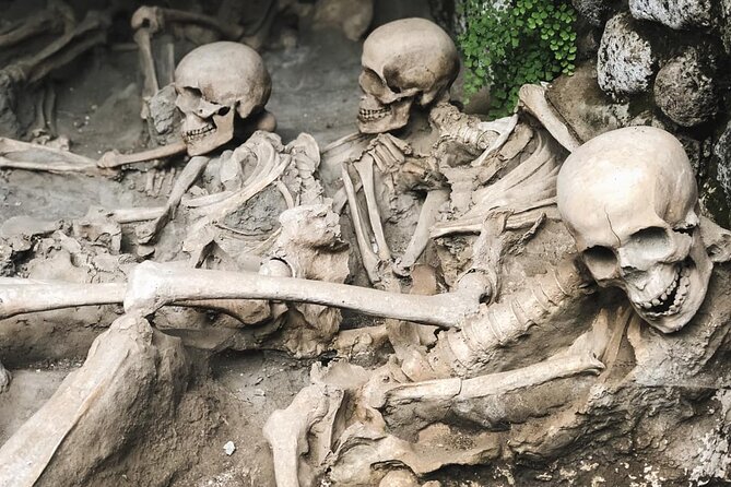 Guided Tour of Herculaneum With Lunch and Entrance Included - The Sum Up