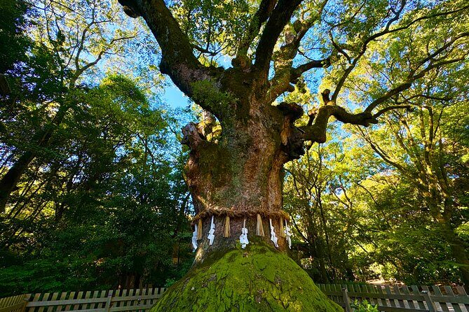 Guided Tour of Historic Atsuta Shrine and Sword Museum - The Kusanagi Museum: The Legend Comes Alive