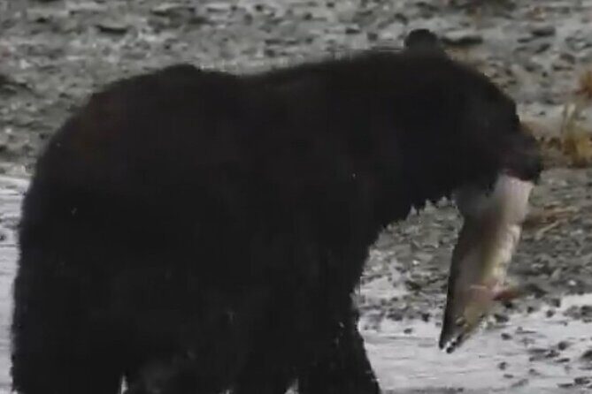 Guided Tour of Ketchikans Top Attractions - Final Thoughts