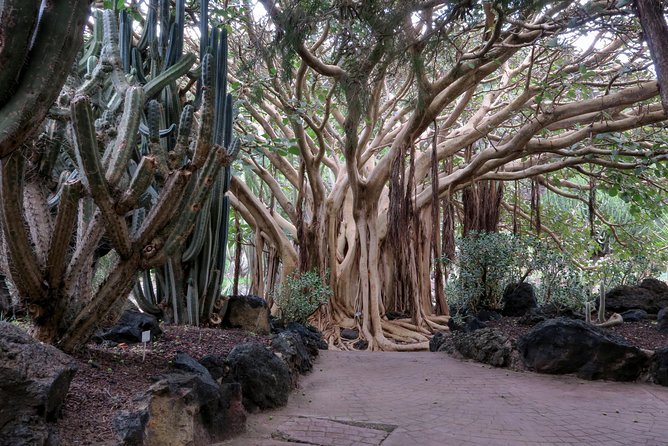 Guided Tour of Las Palmas Including Botanic Garden and Volcano - Adventure to the Bandama Volcanic Crater