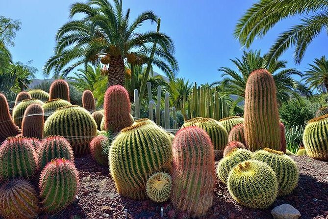 Guided Tour of Las Palmas Including Botanic Garden and Volcano - Historical Exploration of Vegueta and Columbus Museum